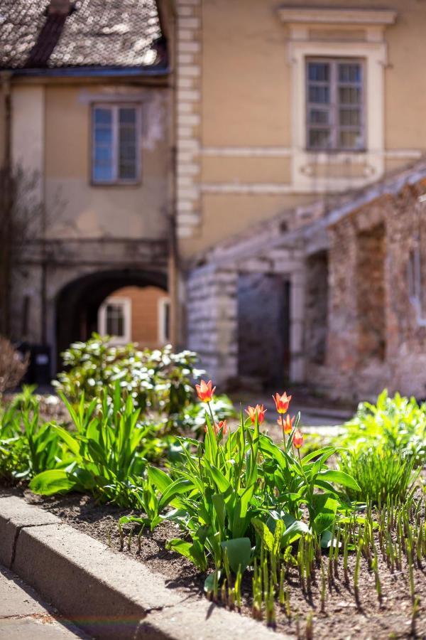 #Stayhere - Historic Vilnius Old Town Chic Studio Eksteriør bilde