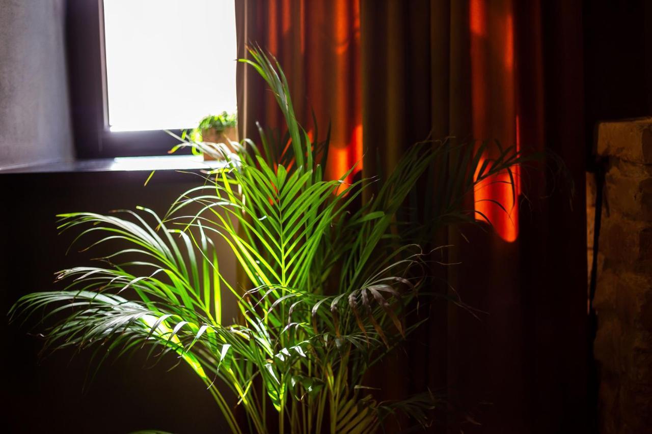 #Stayhere - Historic Vilnius Old Town Chic Studio Eksteriør bilde